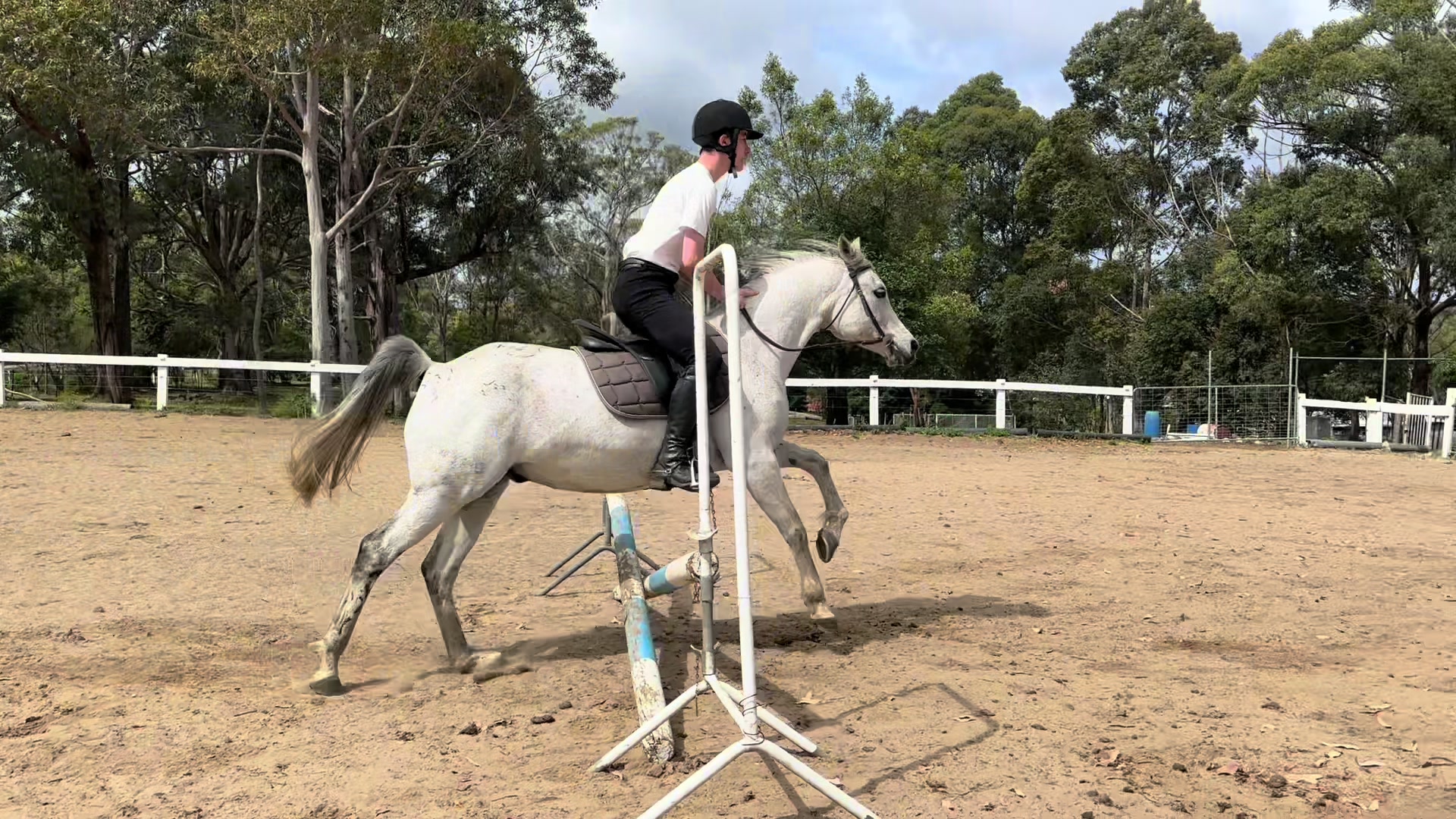@EPEC - Horse riding centre