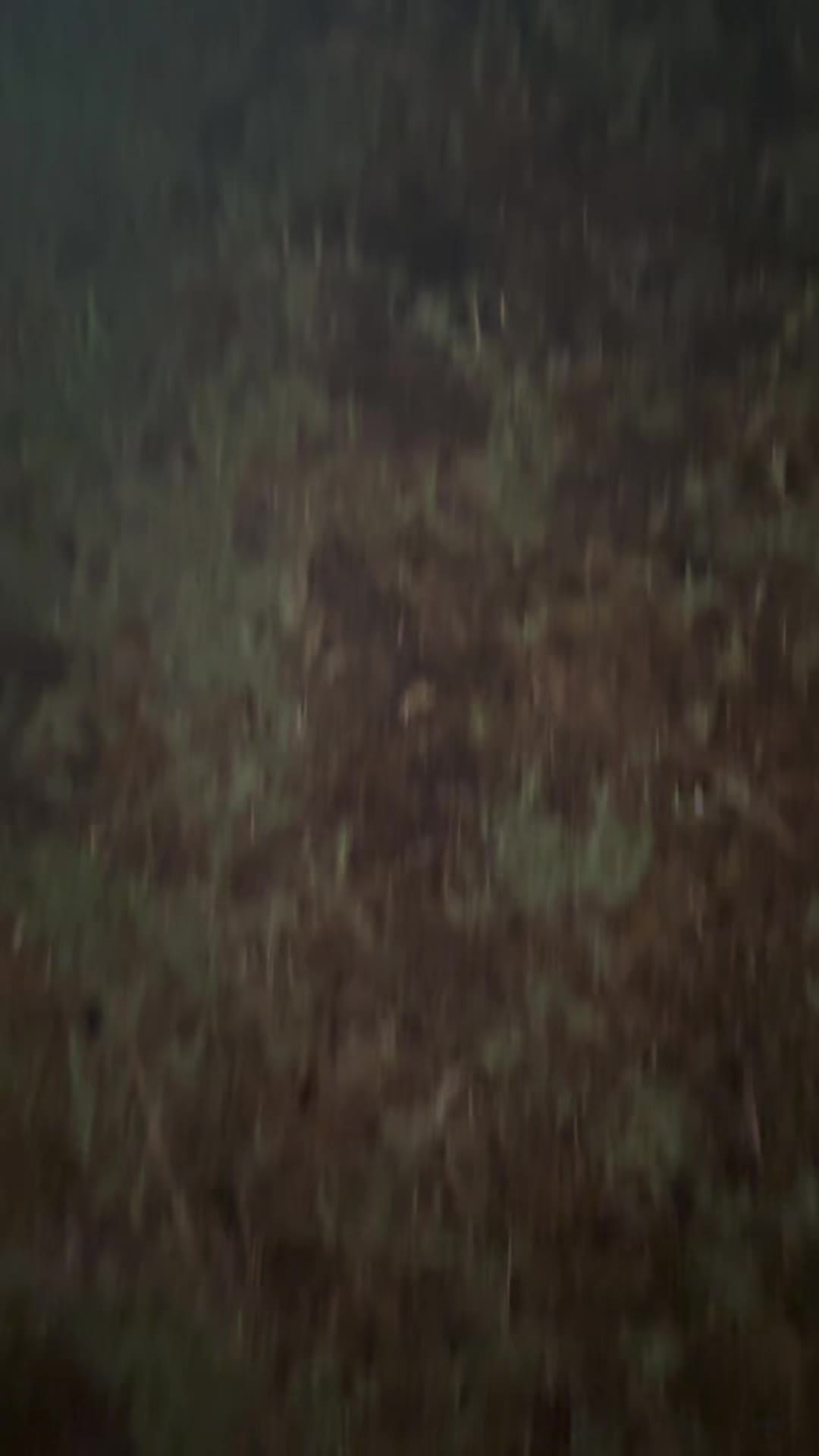@KARMA