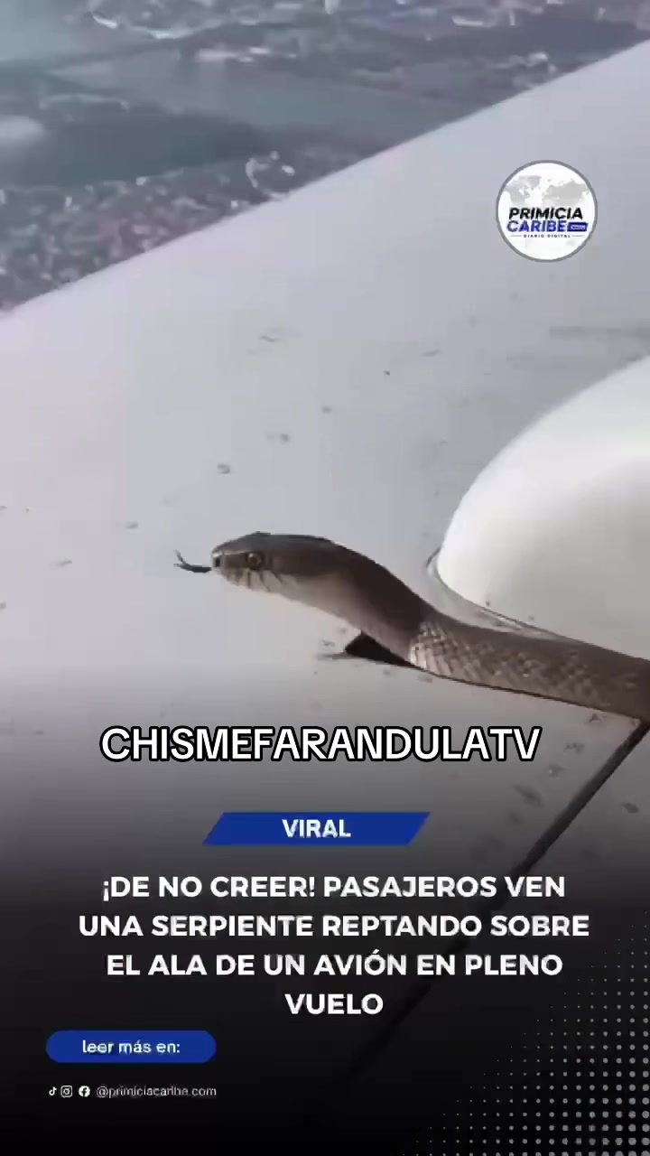 @CHISMEFARANDULATV _NOTICIAS
