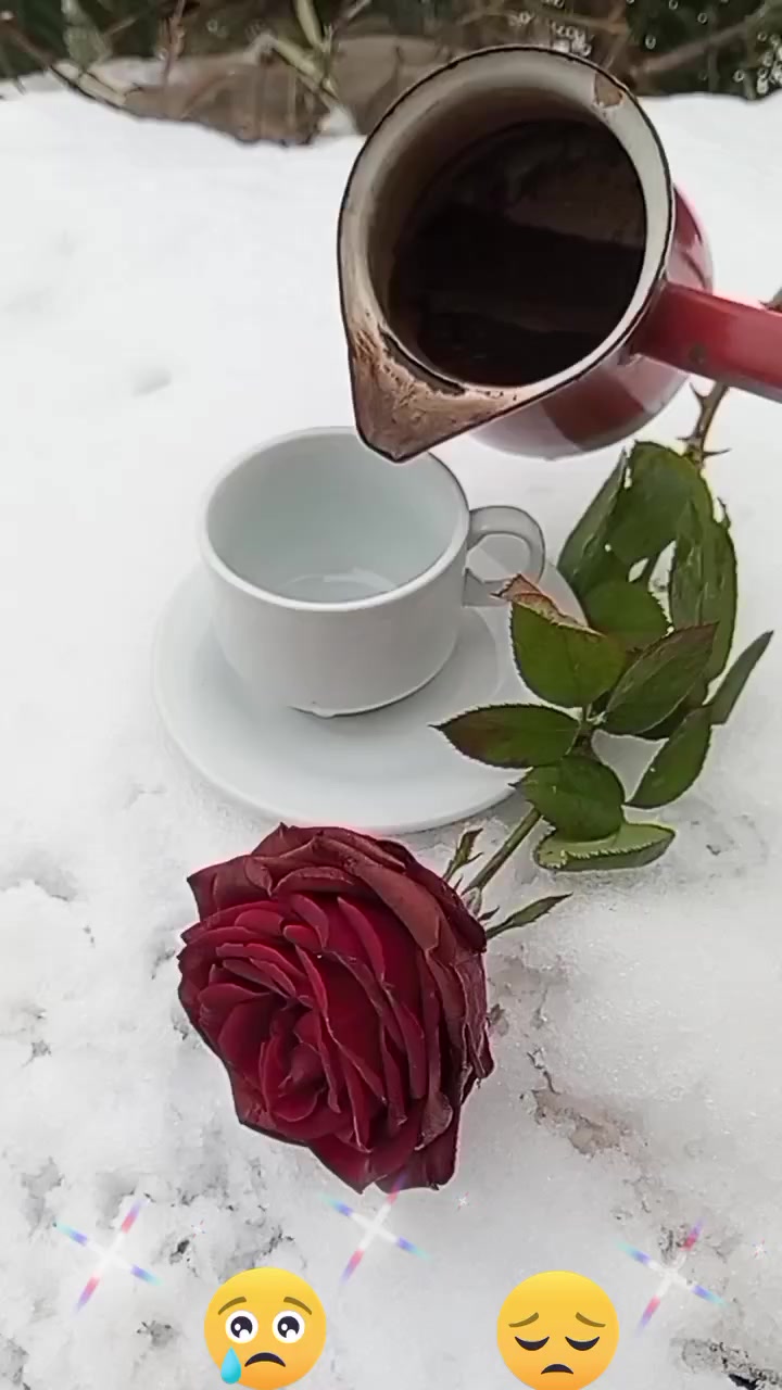 @رونيارا عفريني