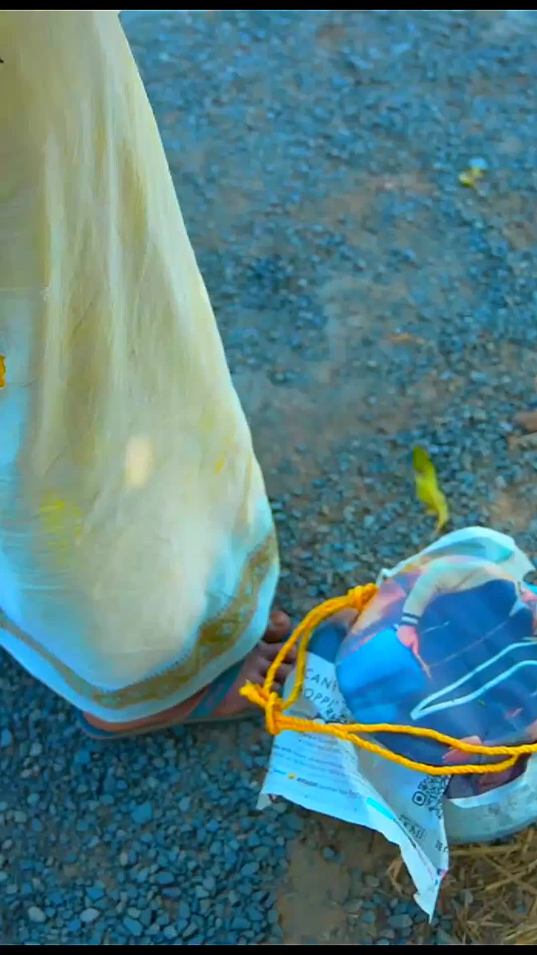 @โσ๐ฆ๏ฝ
๐นฤฎ๐ล โทัฒโทโ