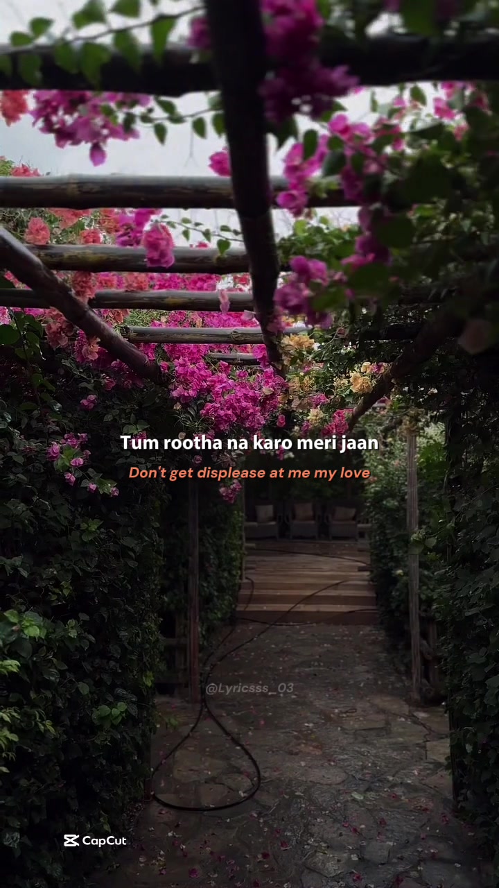@💗