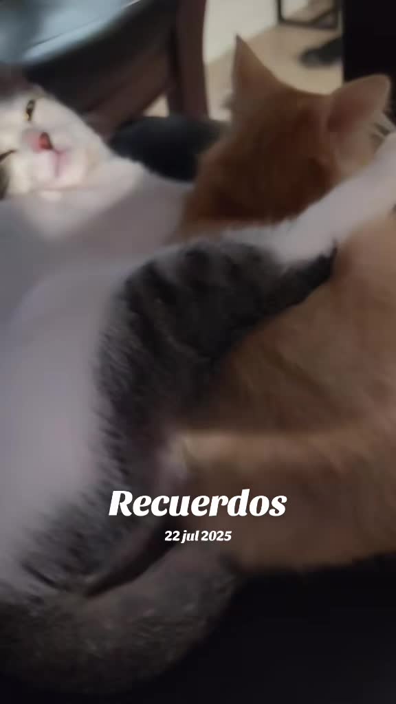 @Amor de dios