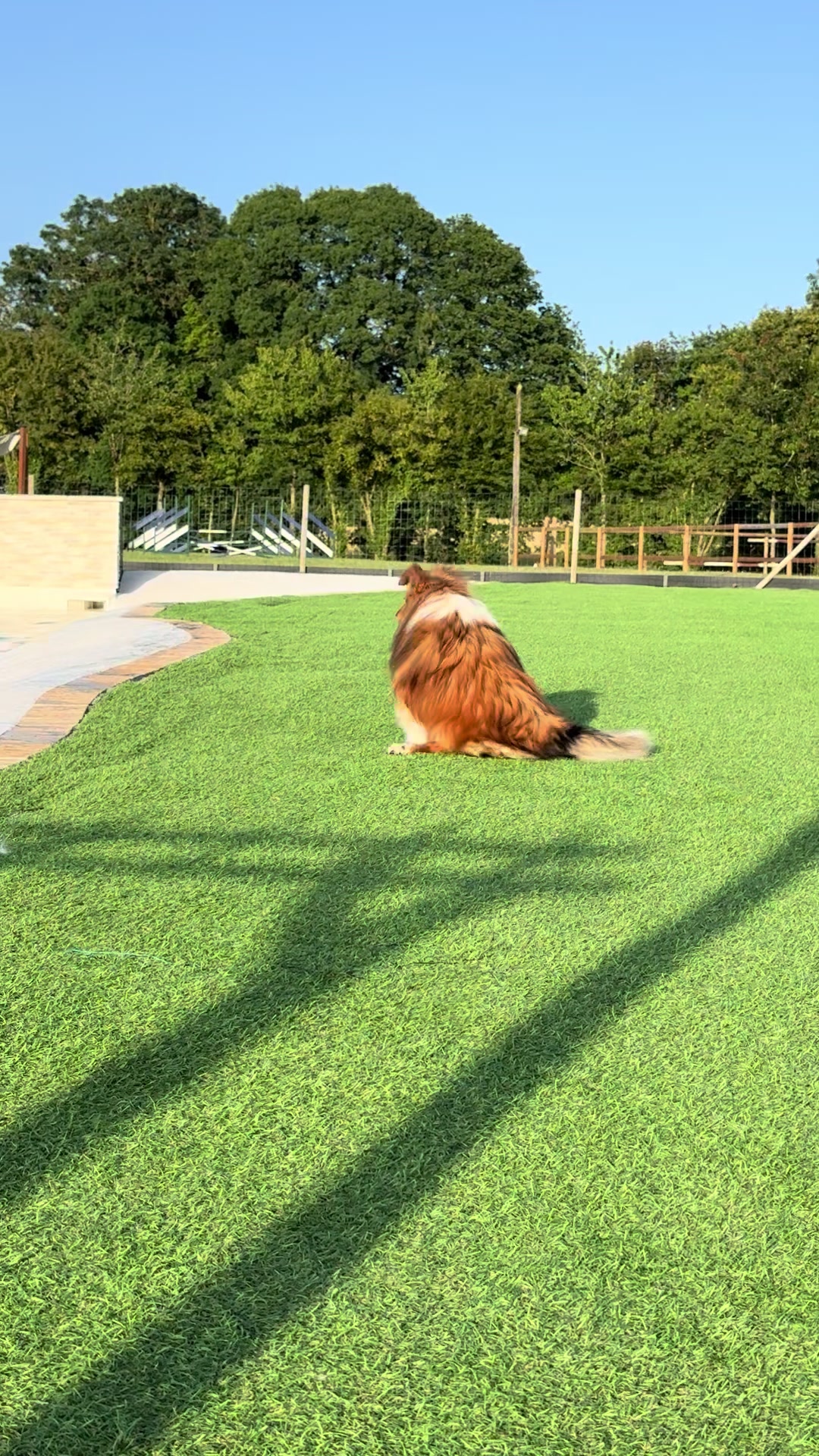 @Centre BienEtre Equin & Canin
