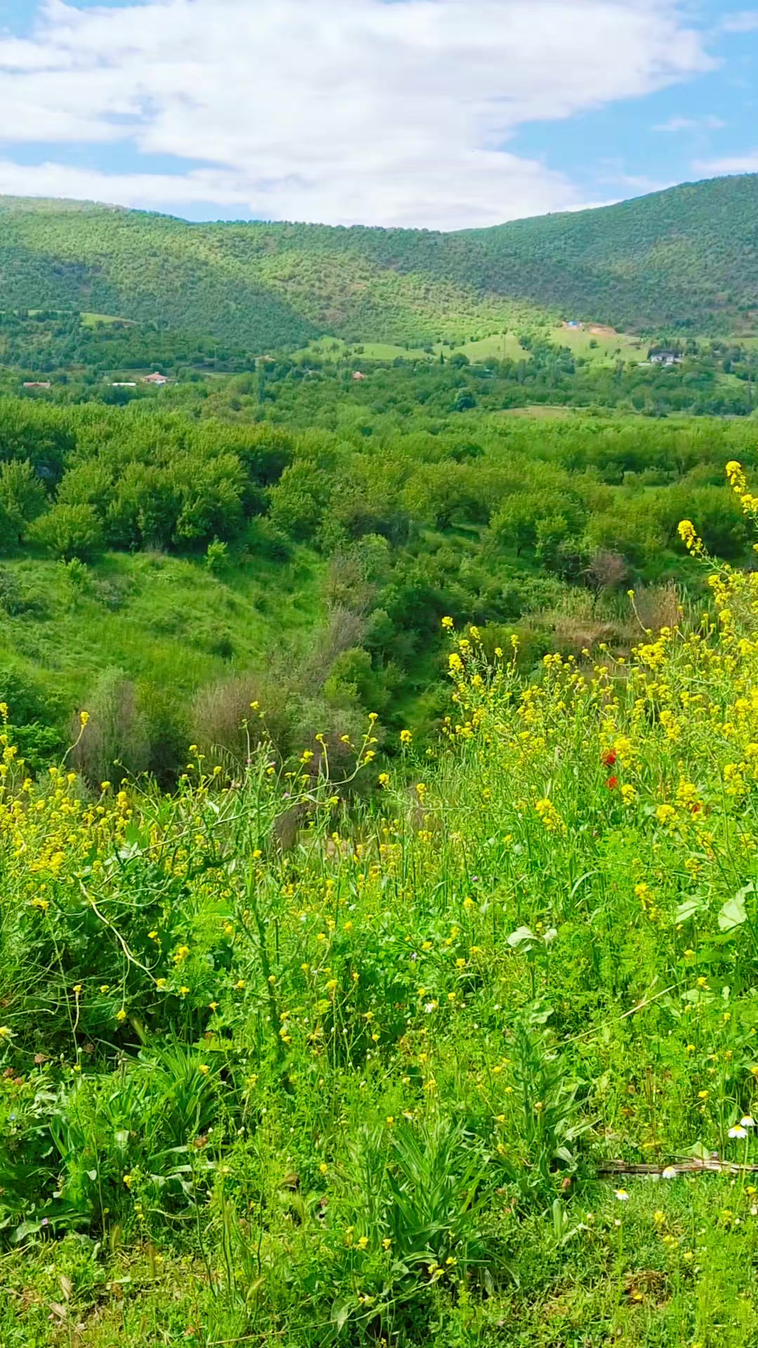@Ebubekir adıyaman