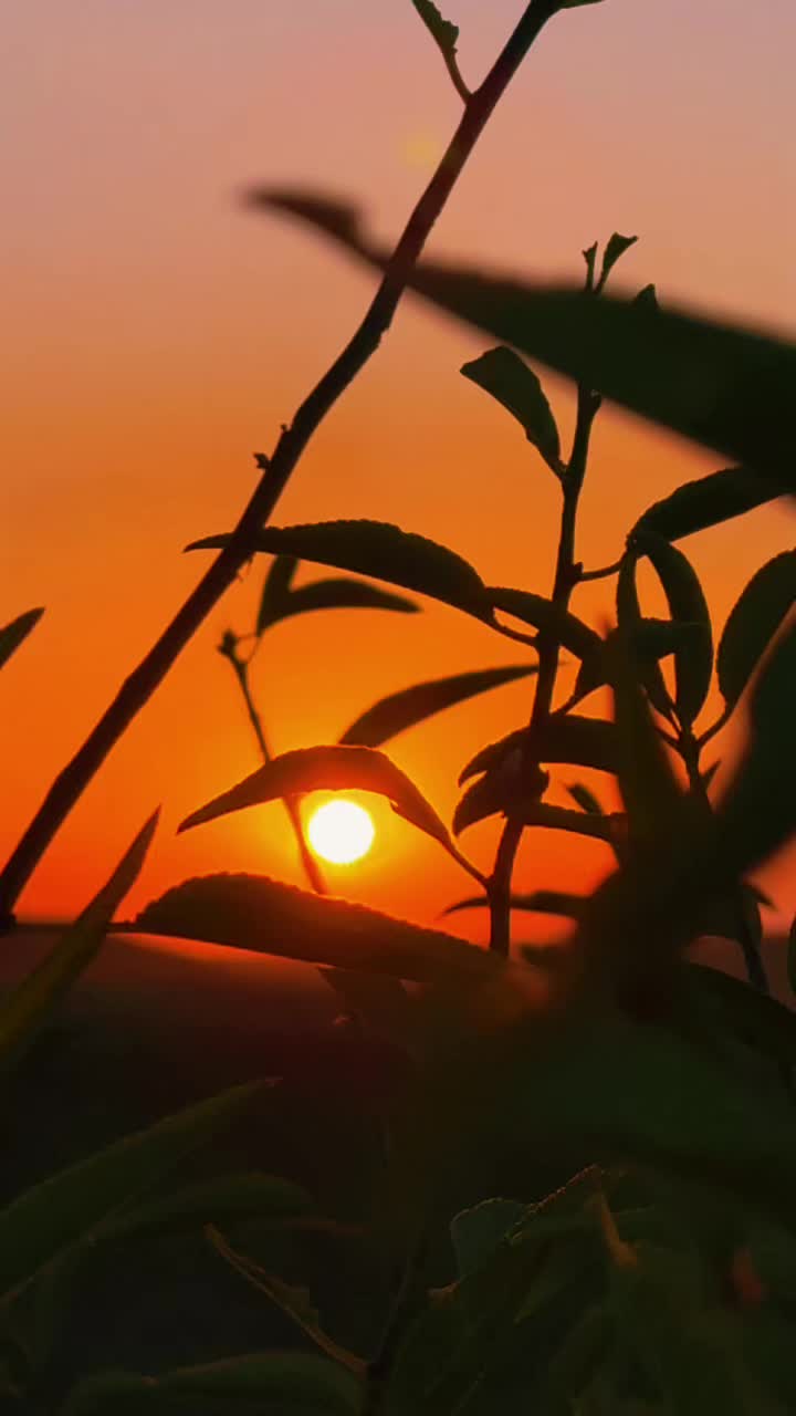 @𝐒.☀️