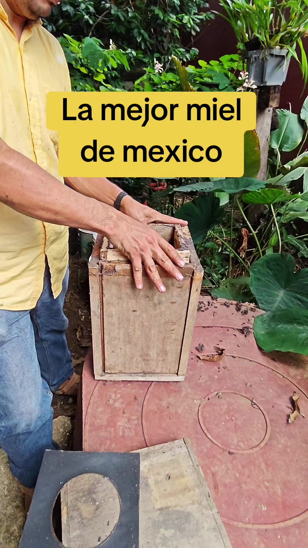 @santuario de las meliponas