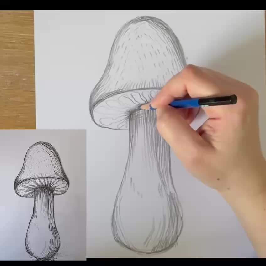 @elinaart13