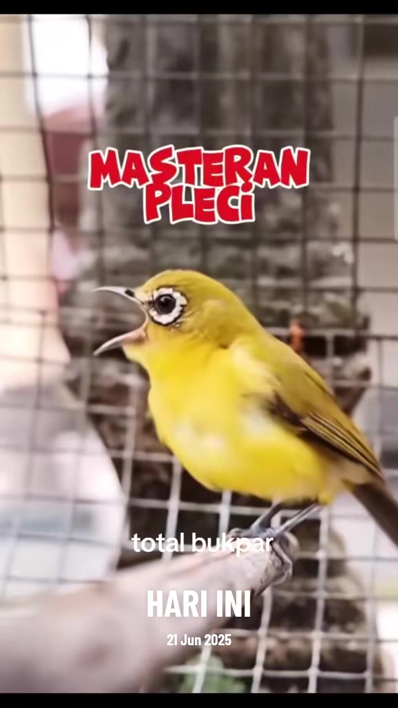 @totalbukpar