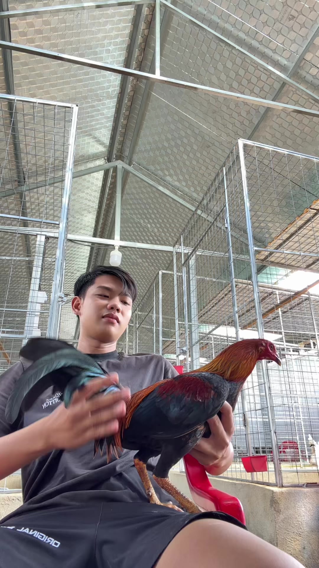 @Thông Lê