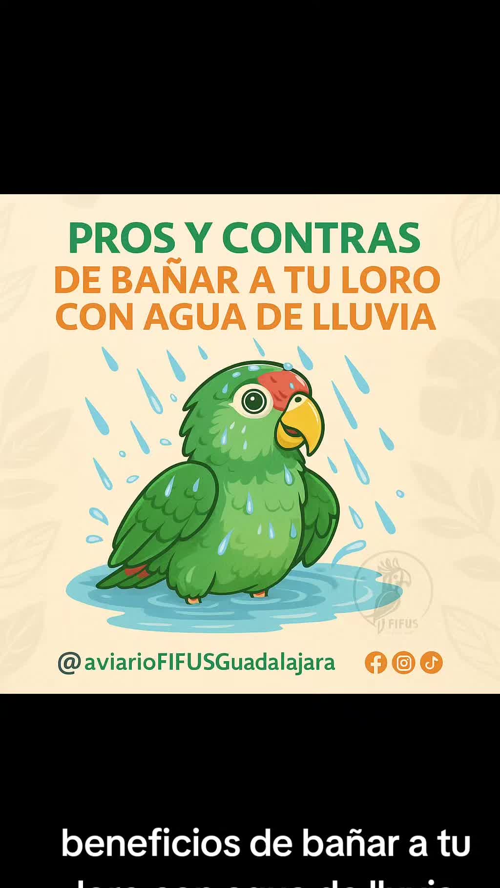 @Aviario FIFUS Guadalajara