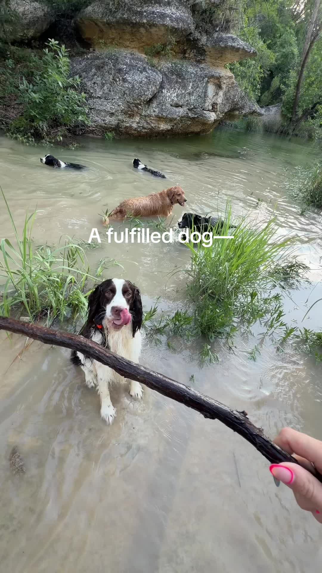 @LULU