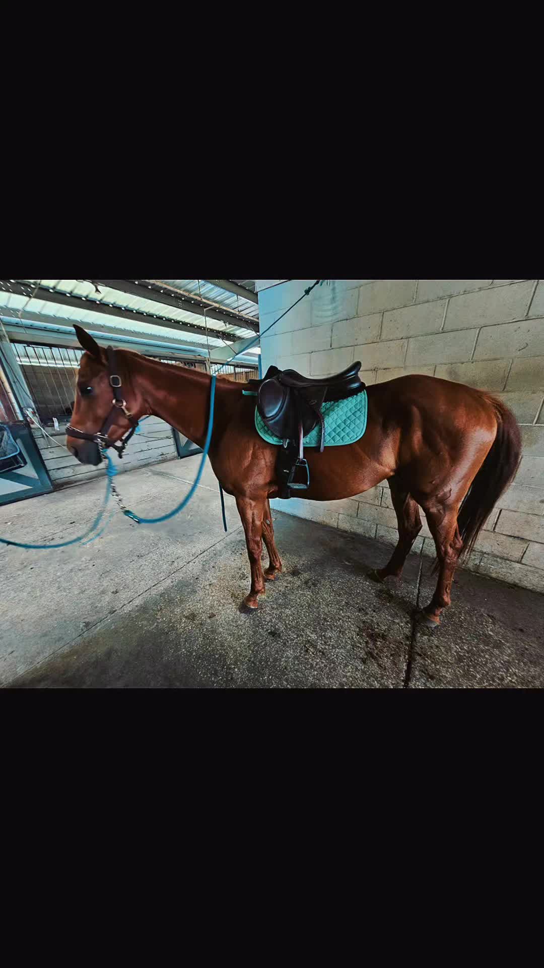 @Rachelrides