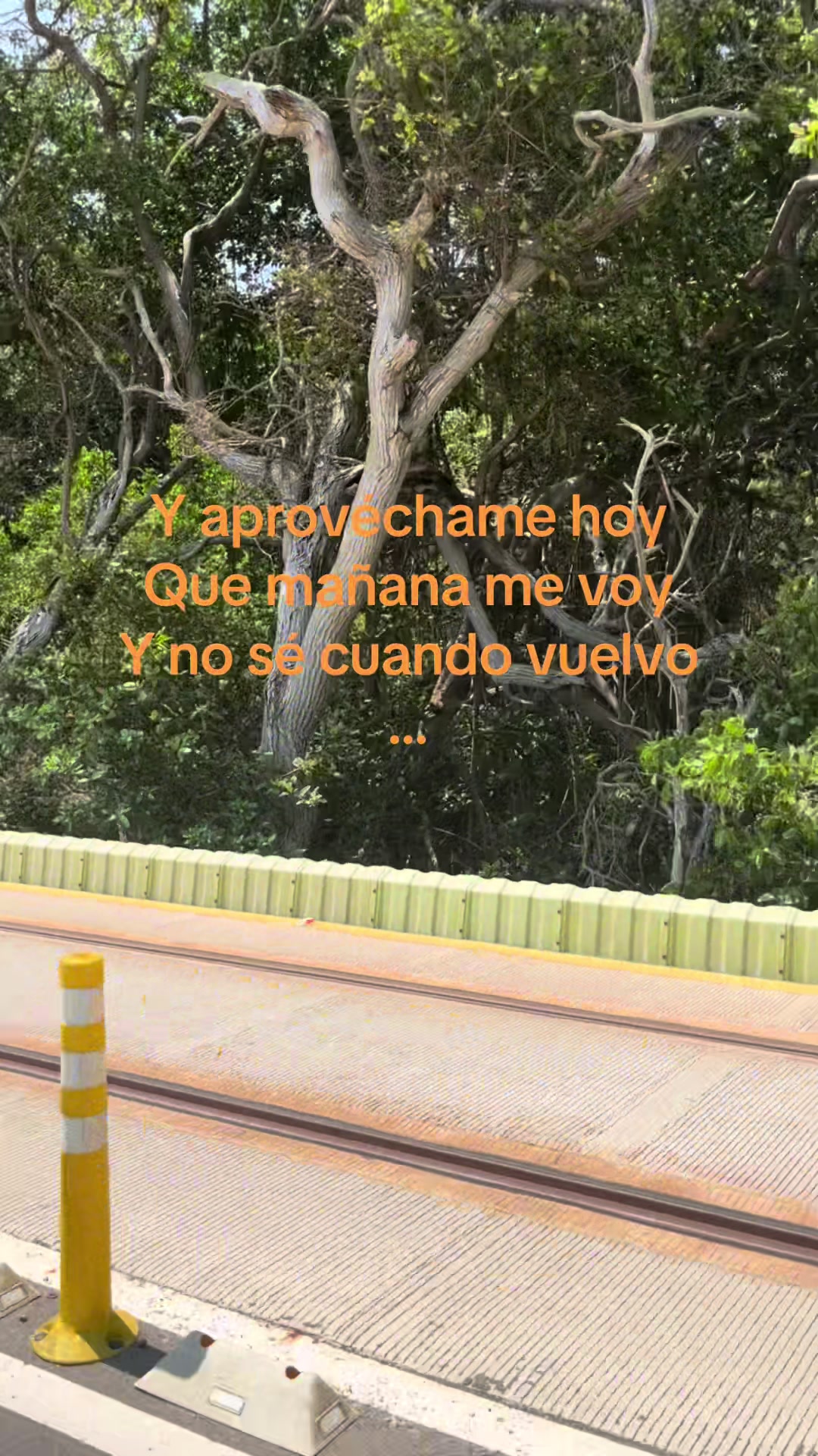 @𝙺𝚊𝚝𝚑𝚑🐈⬛