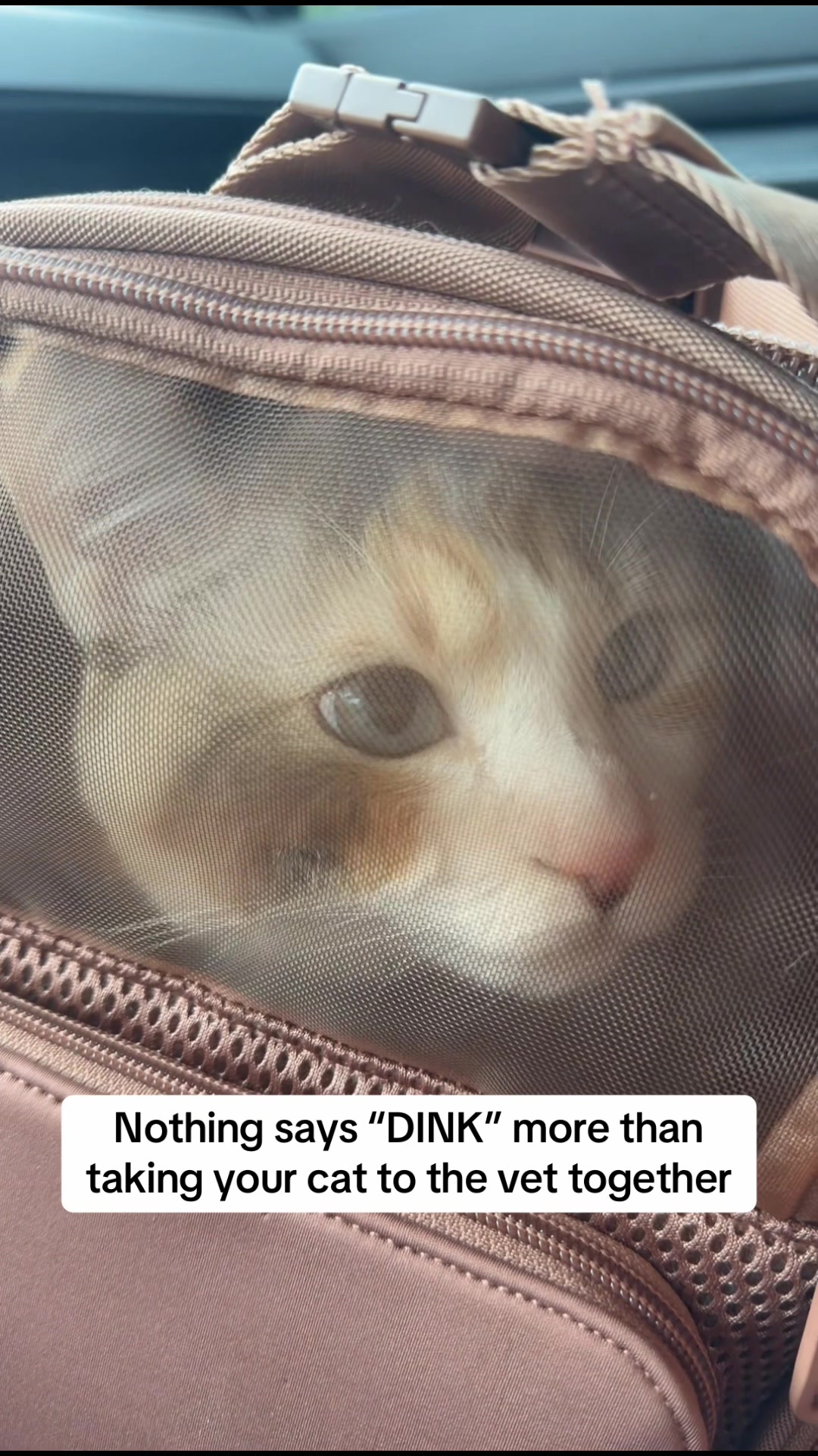 @Panko Cat