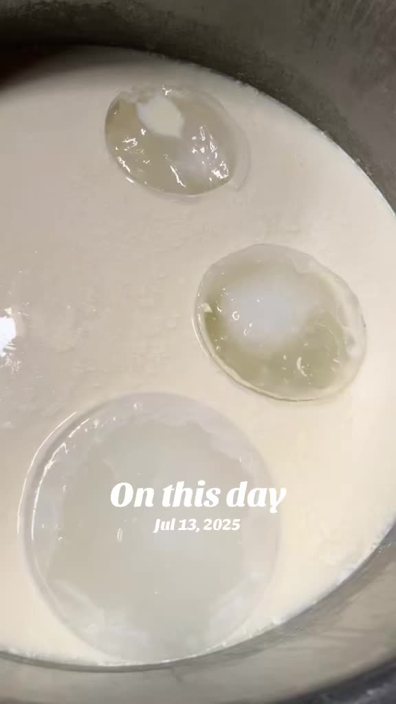 @batooljaffari