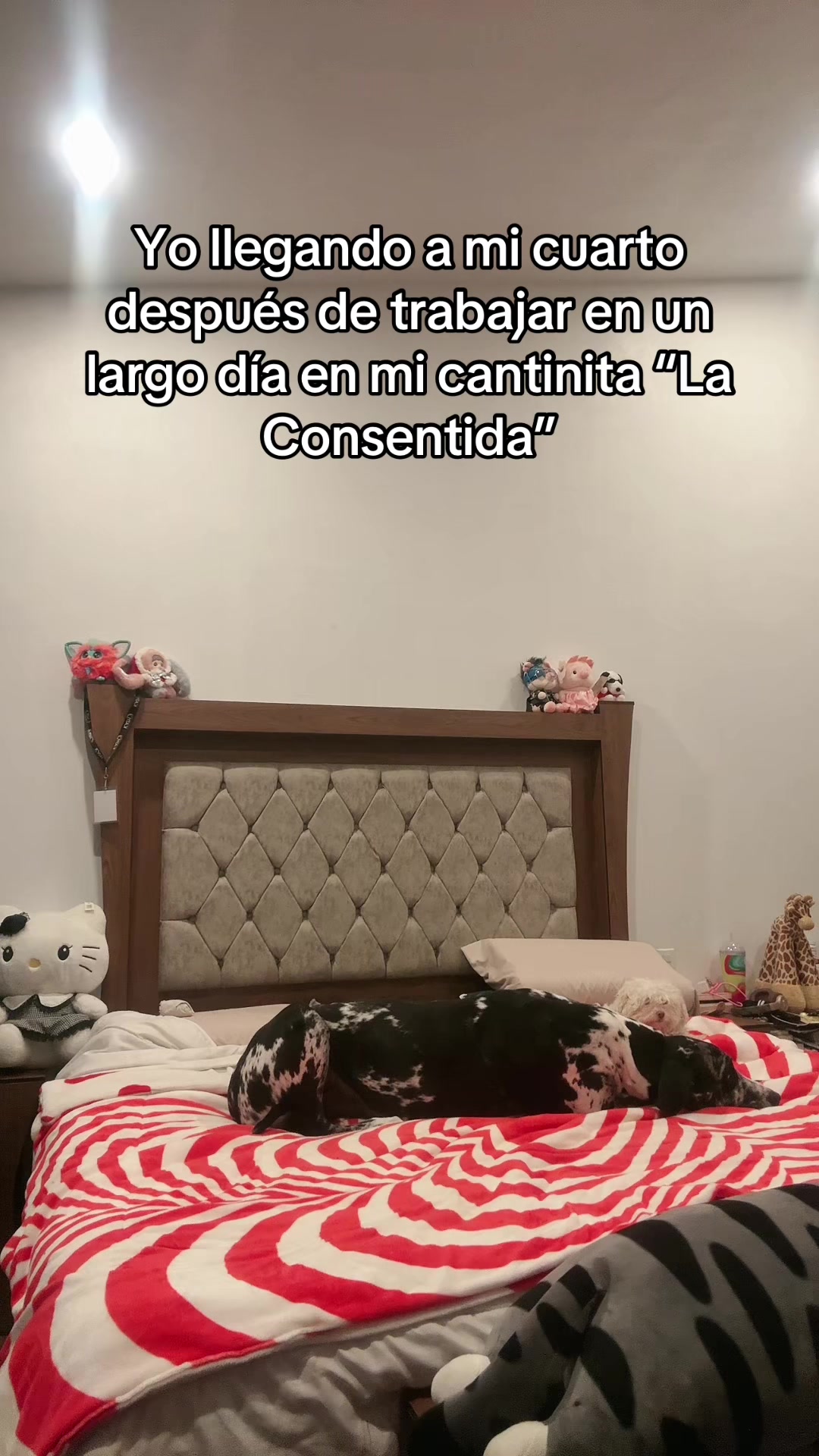 @N&eacute;mesisAkai009🕯️