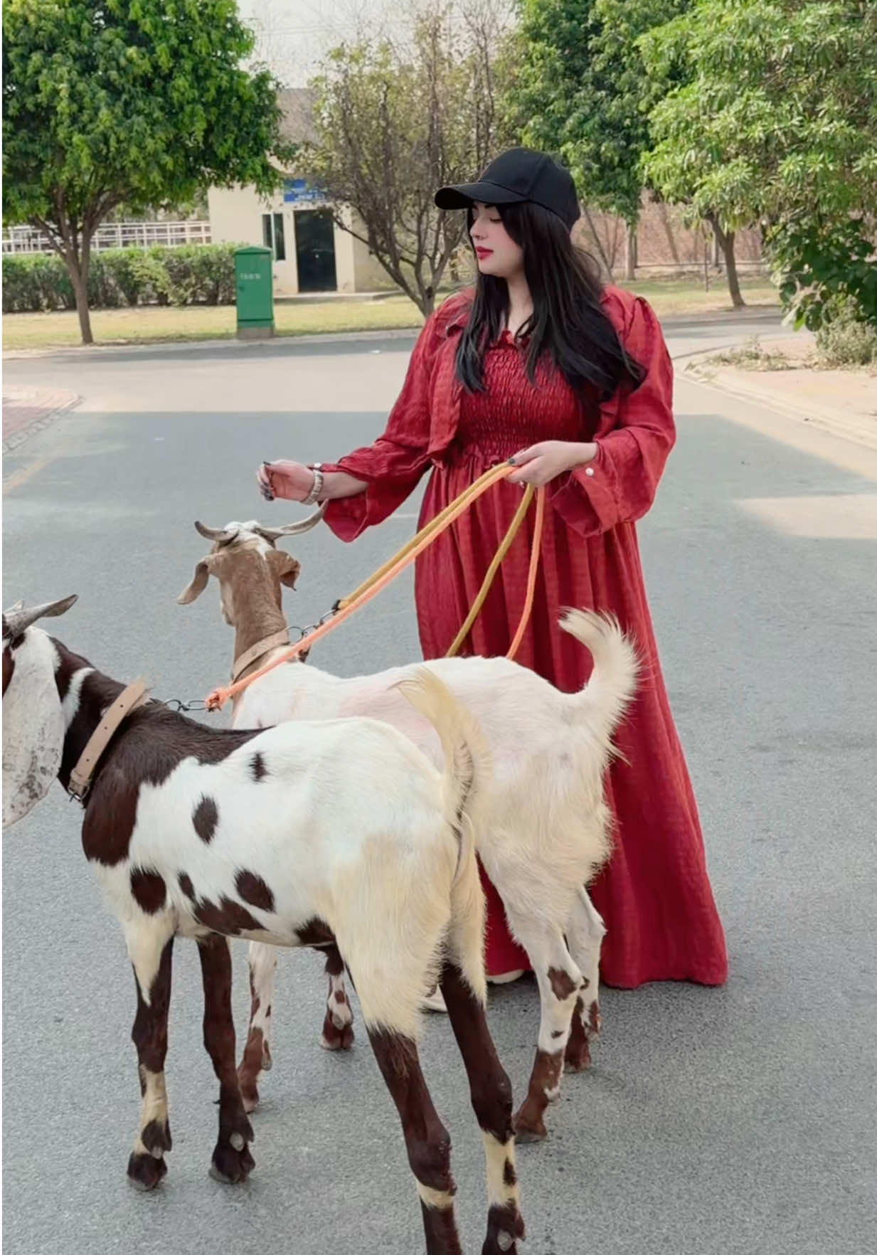@Farah khan