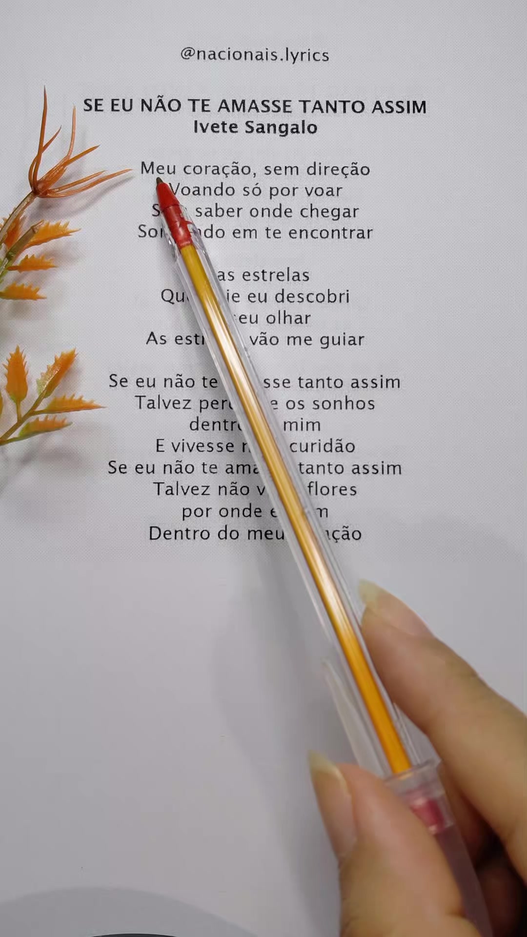 @nacionais lyrics