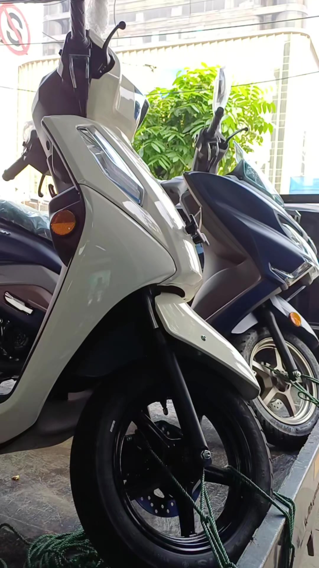 @suzuki hayam wuruk