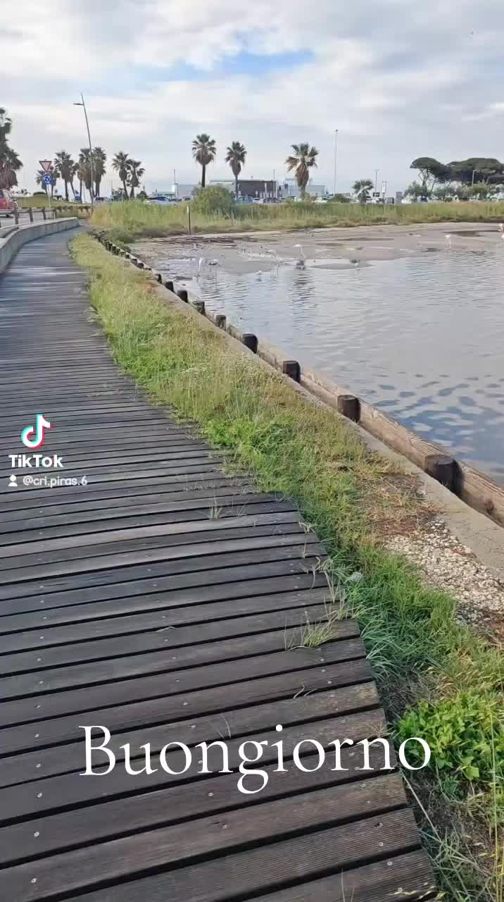 @cri, piras