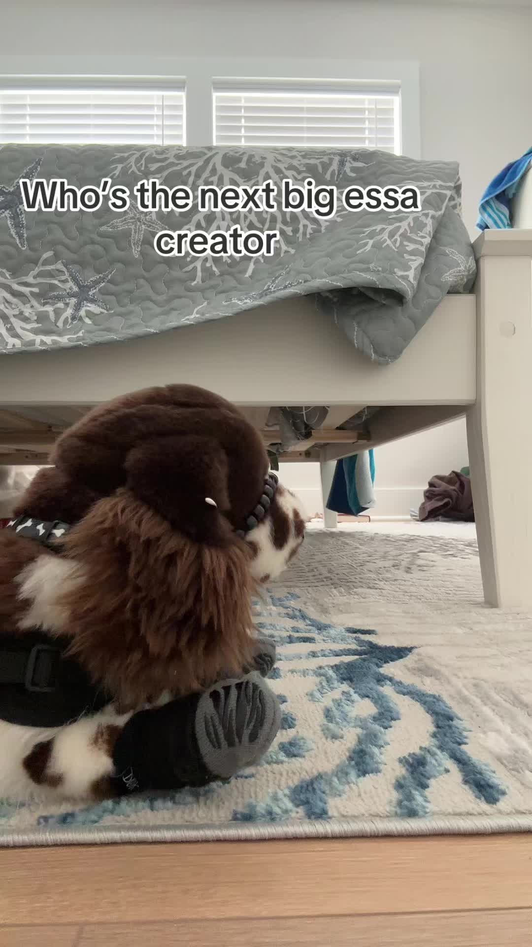 @pupplace
