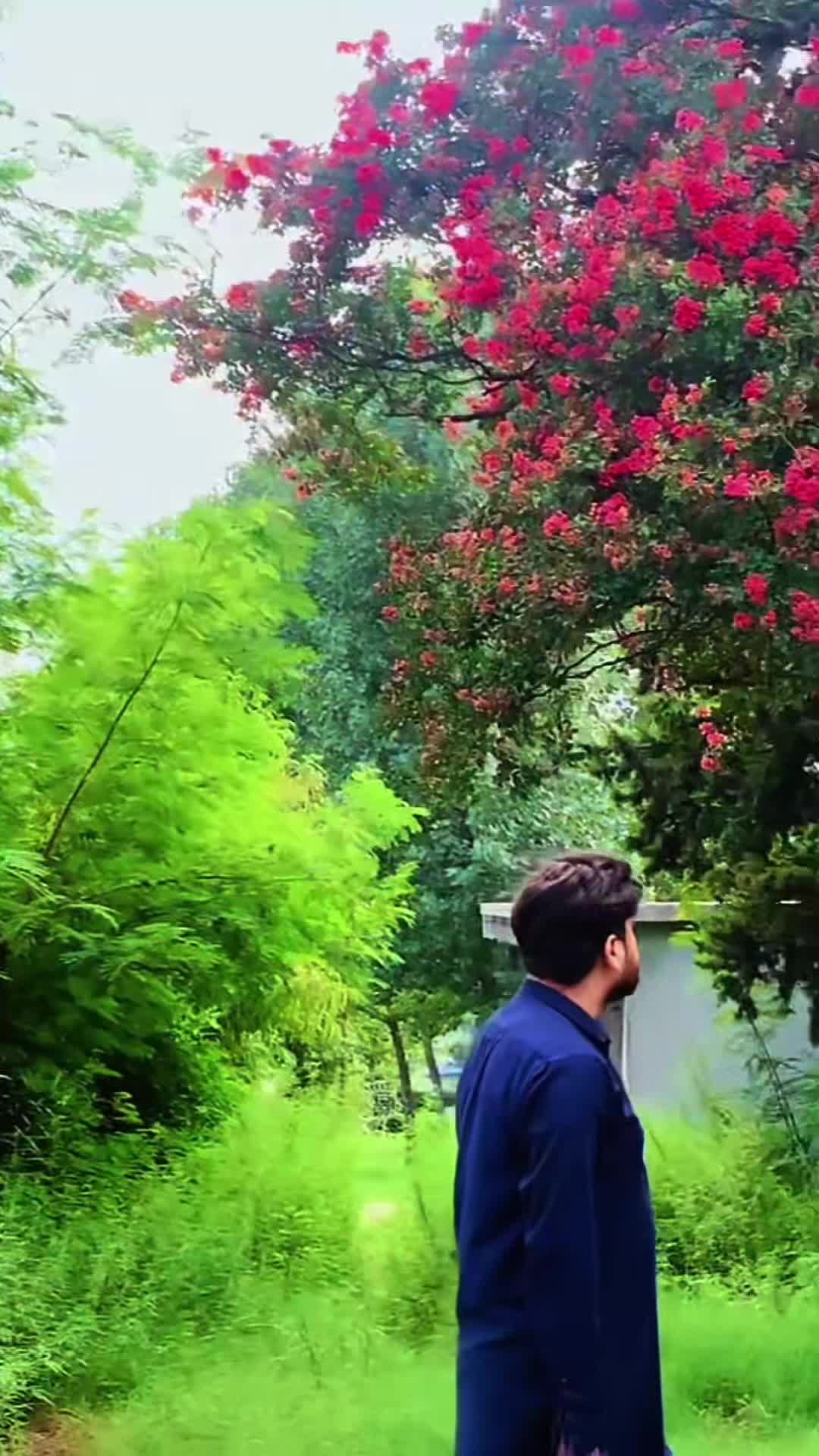 @𝐒_𝐌_𝐖 🩶🪽...✓
