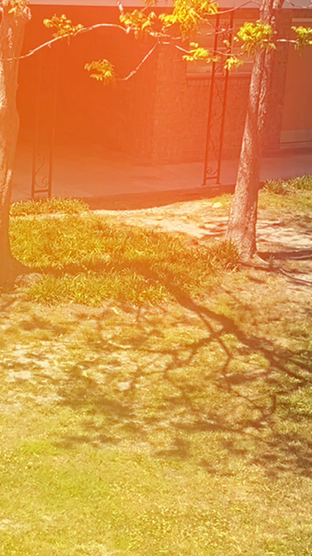 @𝔹𝕖𝕥𝕙 𝔸𝕚yana❌