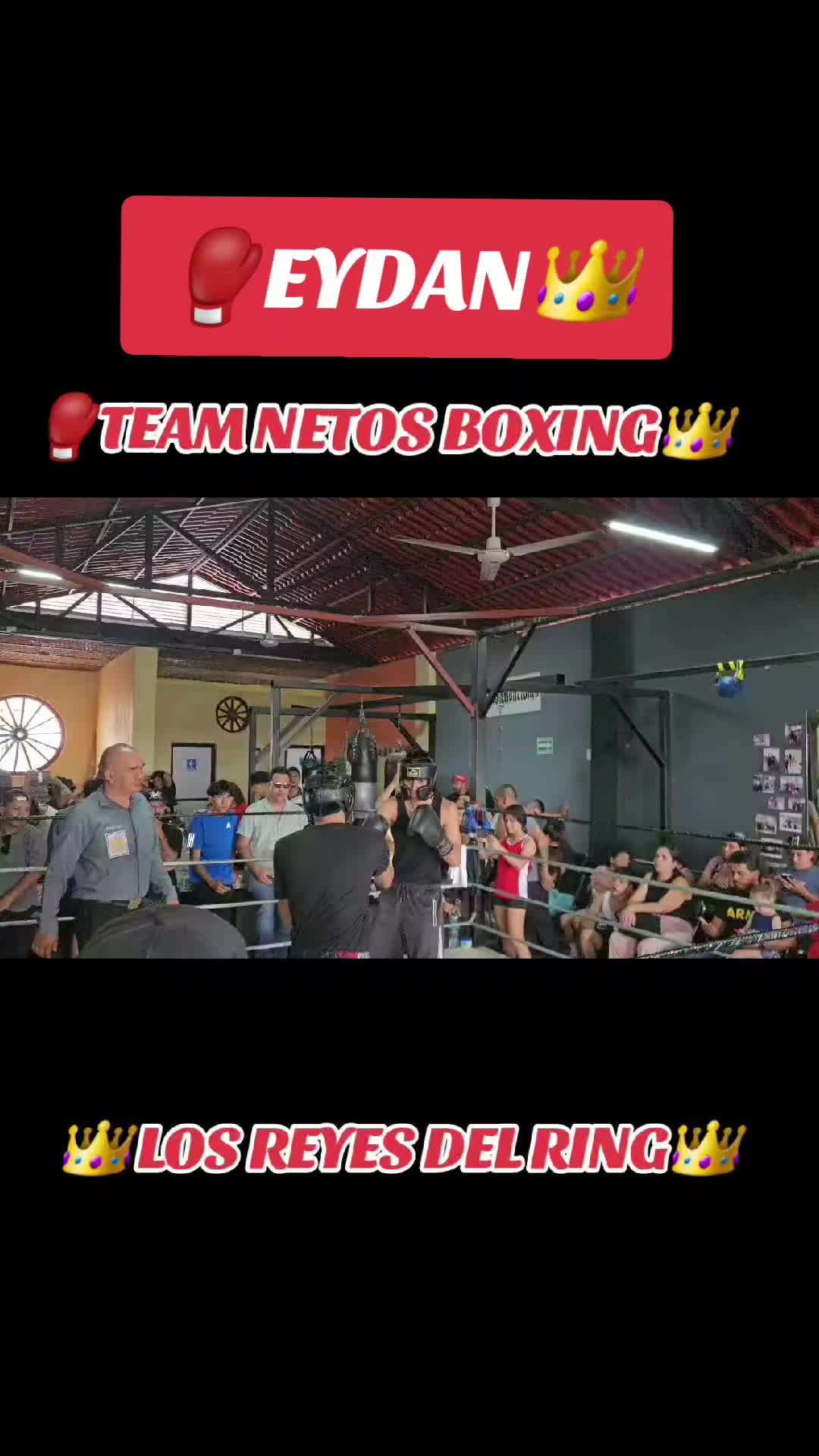 @netos boxing