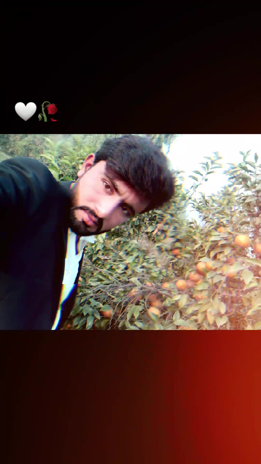 @sajjid ali