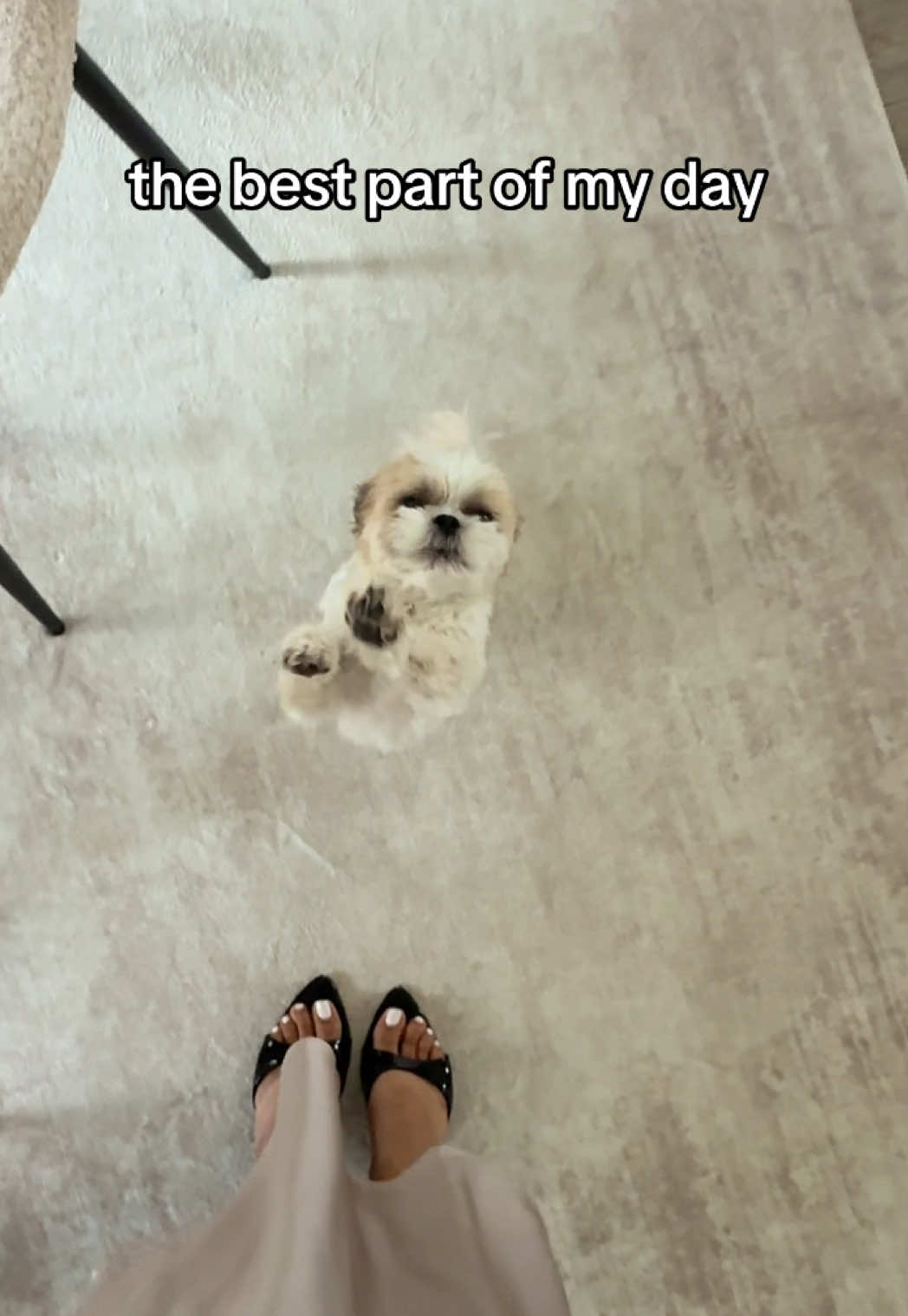 @Gelareh Tiffany