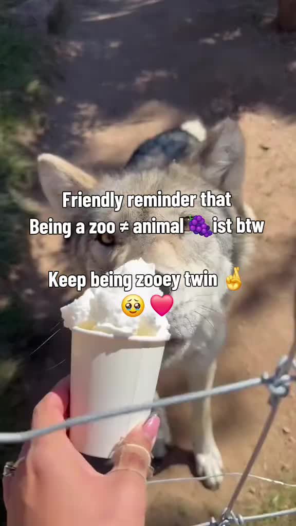 @ZOOMF! ◣ζ◥