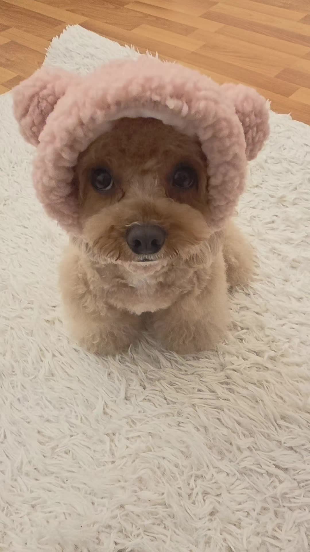 @Teddy12_22