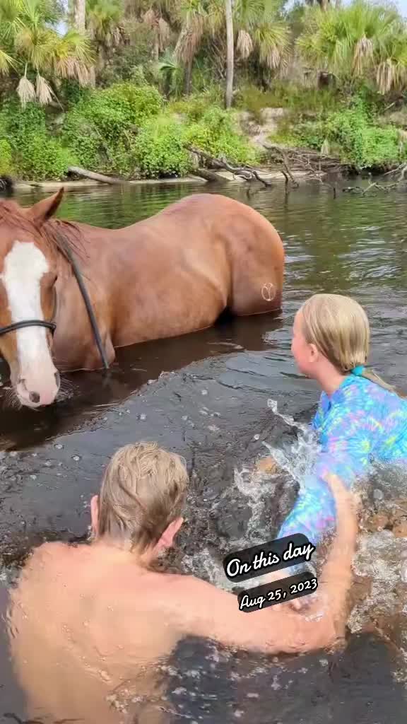 @Duyn Equine Horse Training