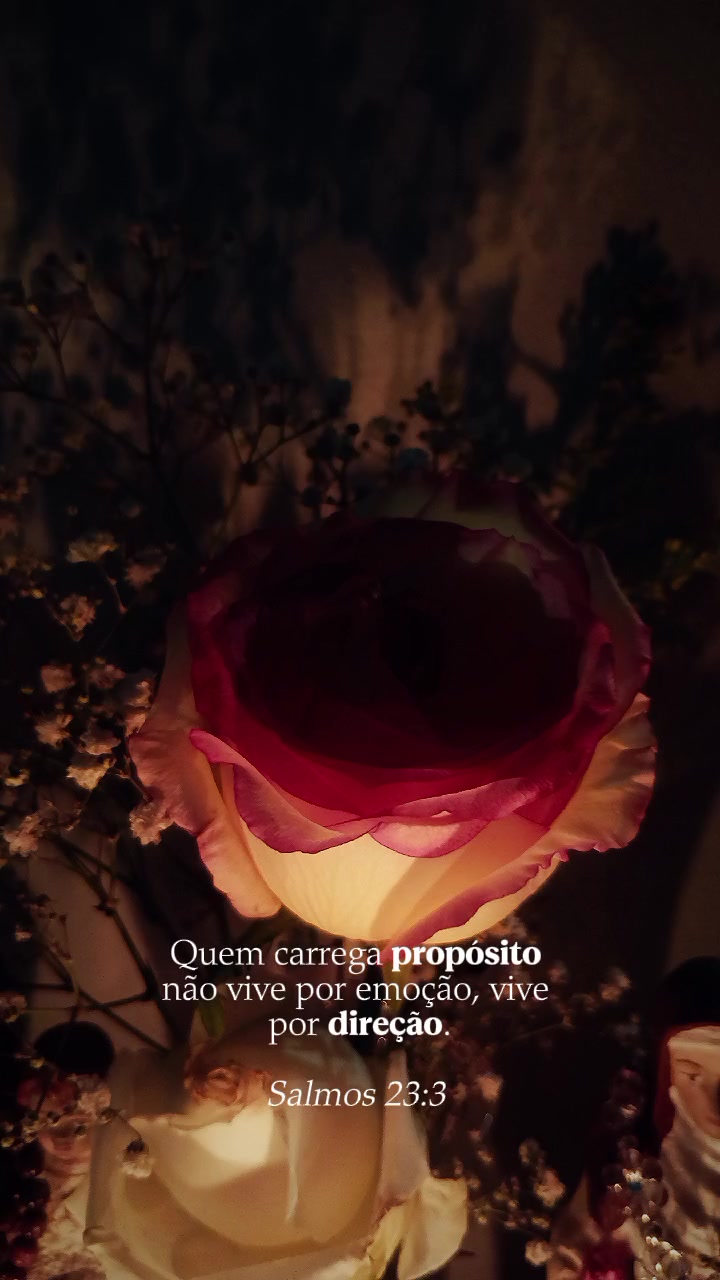 @Giovana Duarte✨
