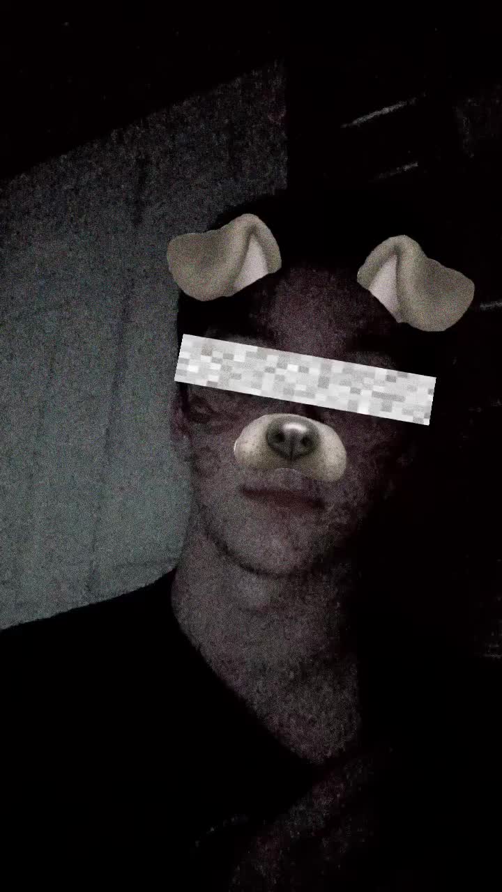 @juicewrld223's