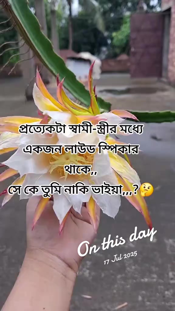 @đ§đŠFarjanađ¸đĻ