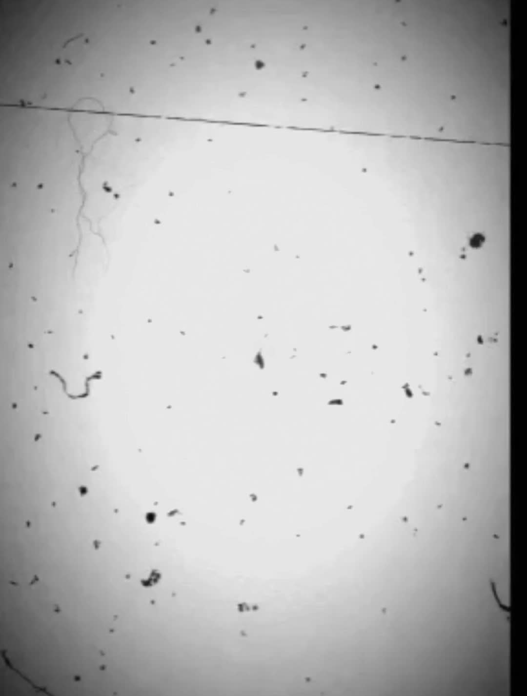 @کیـــهـــــان وفا