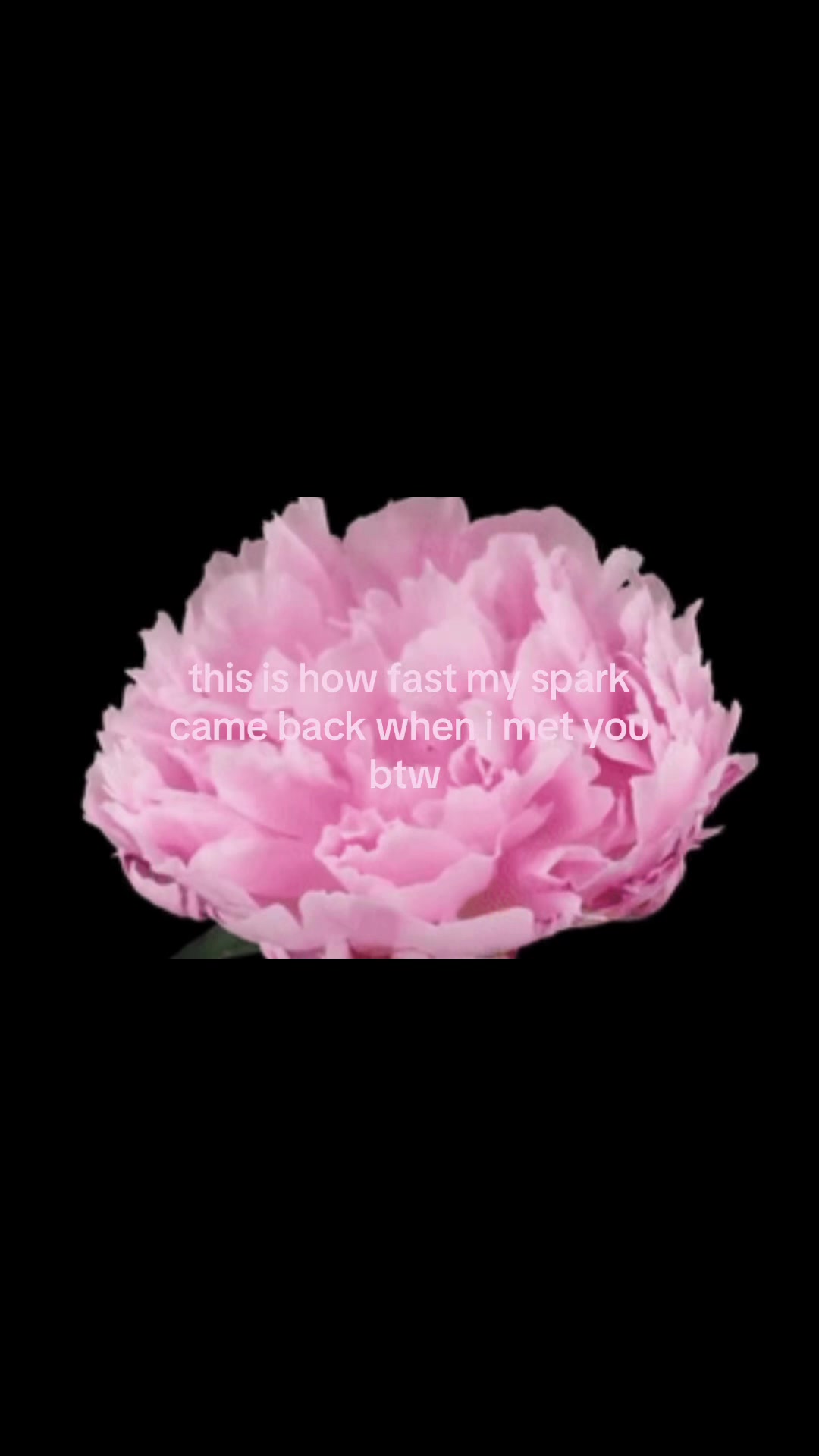 @メ𝟶