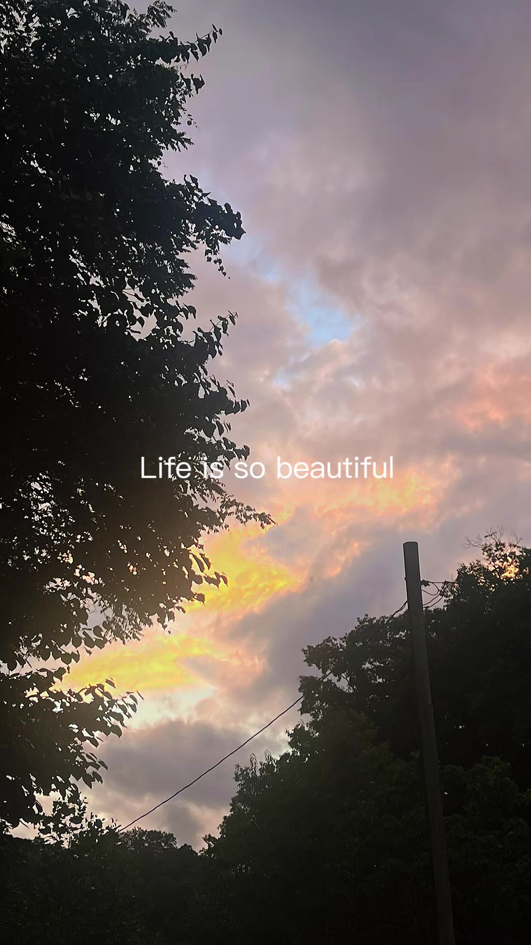 @Brandi 🌅🌄 🥉
