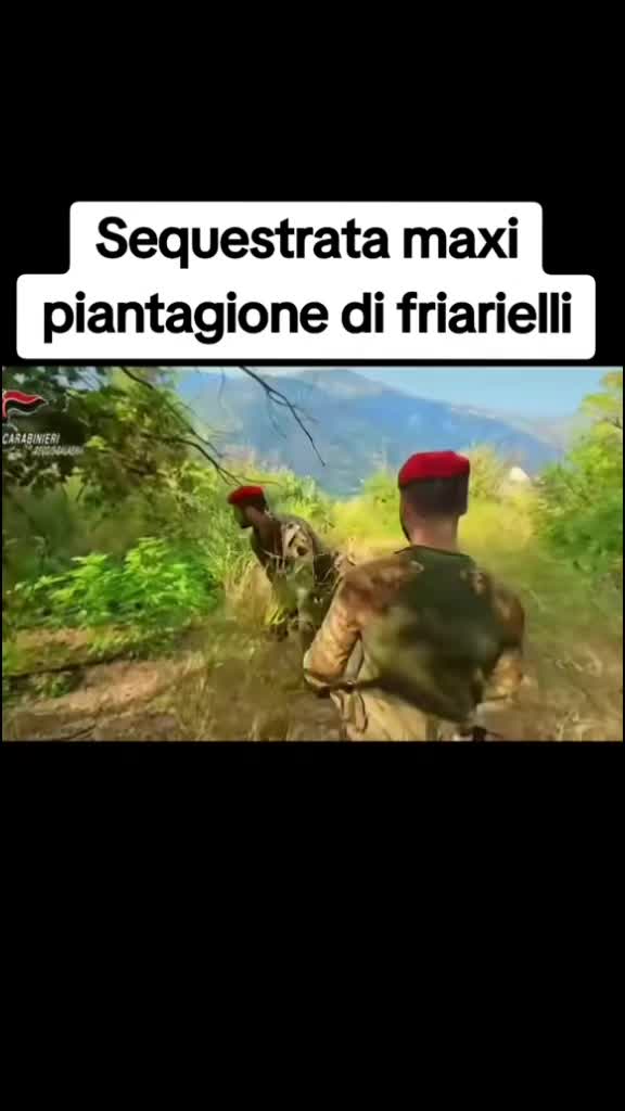 @squadra mobile