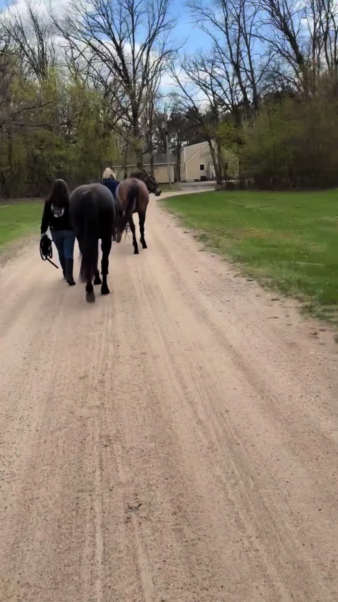 @Spirithorsecentermn