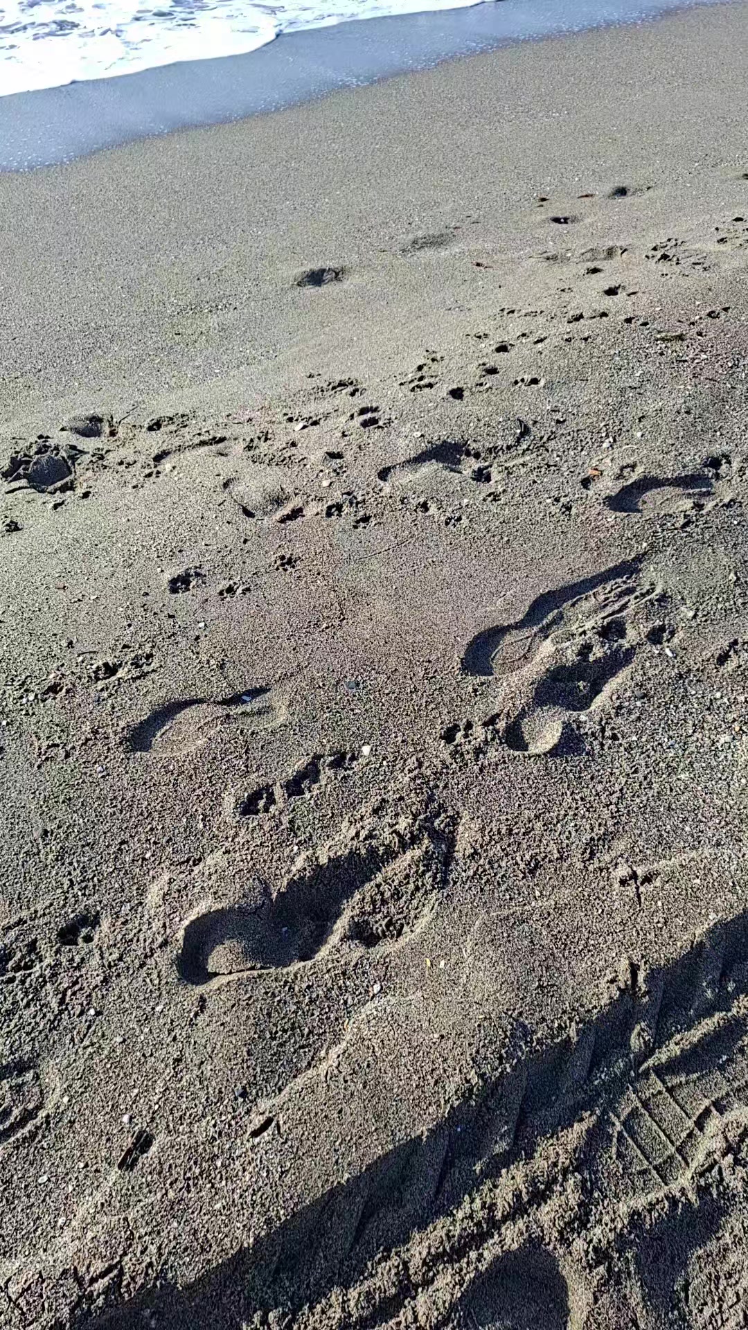 @pardip706