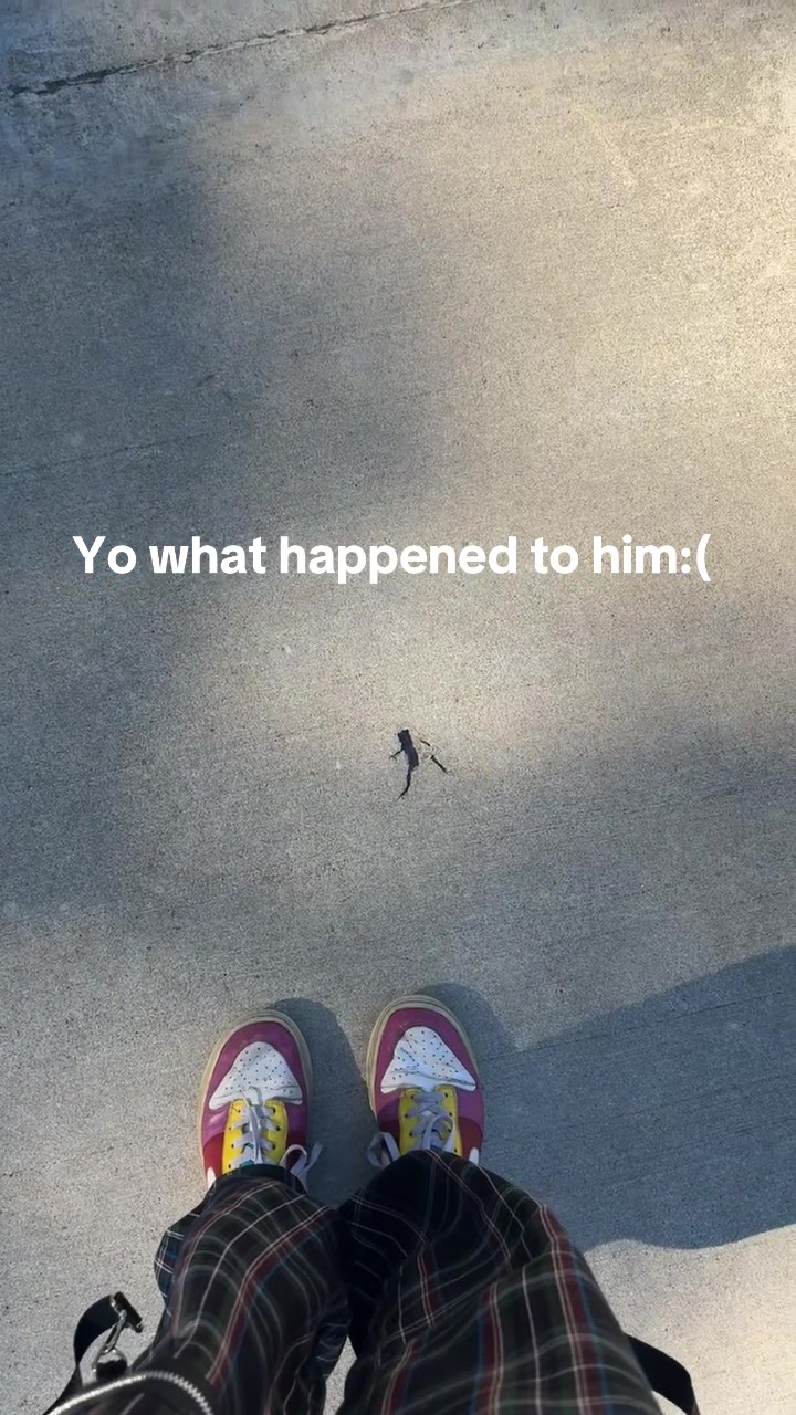 @scumgoblin