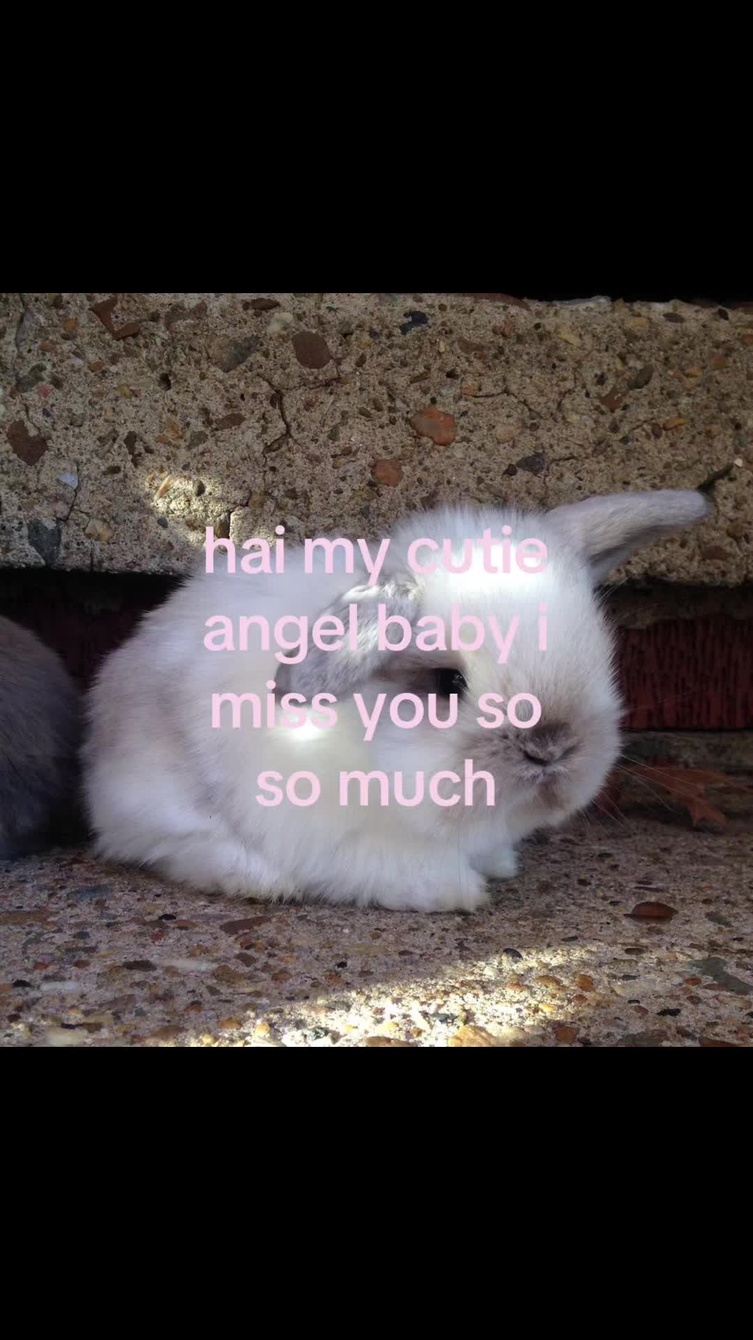 @rwnd