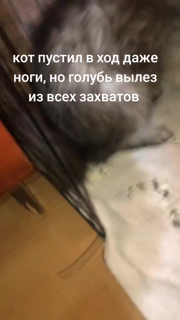 @Имя