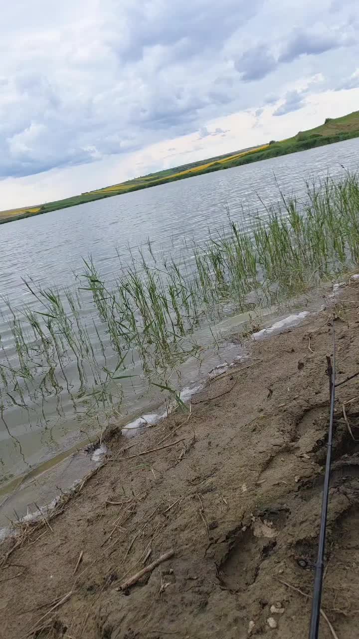 @Alex🇷🇴🇷🇴