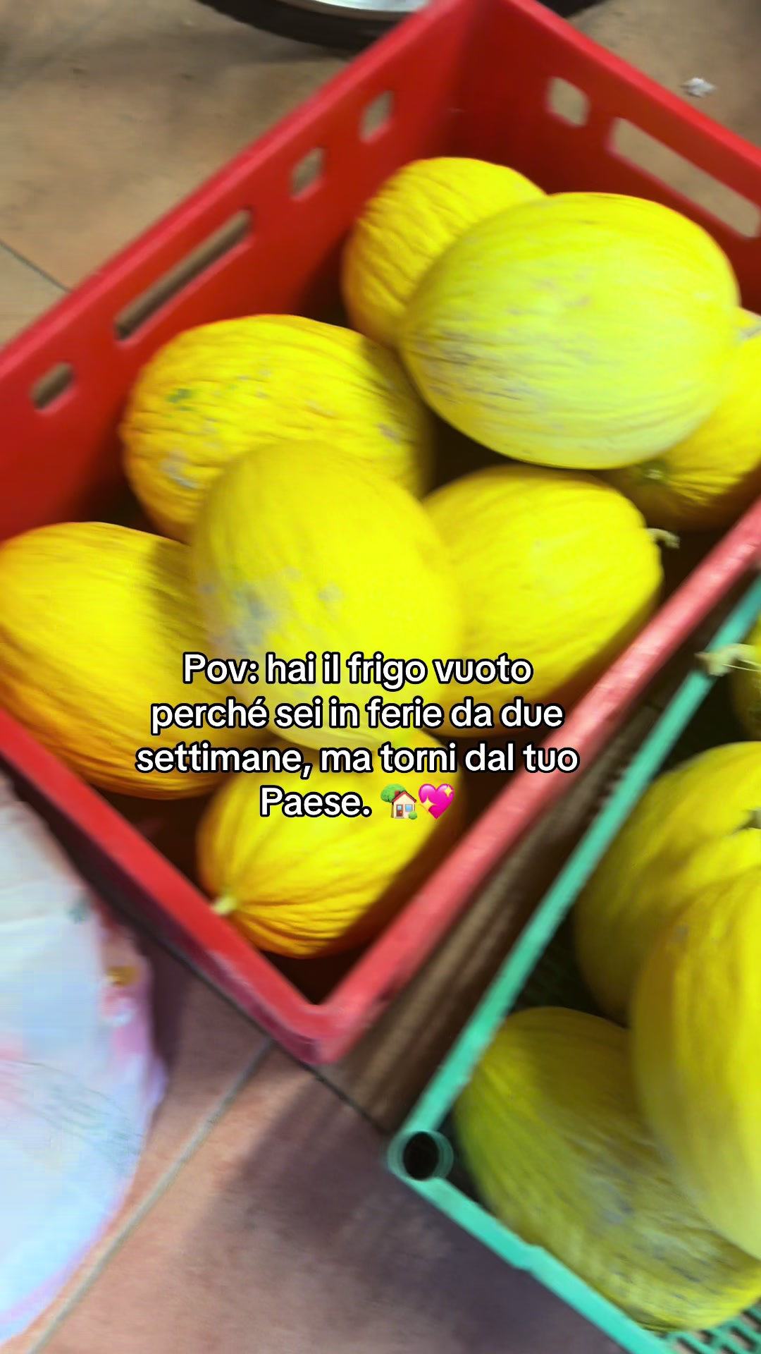 @Nicoletta Panarella