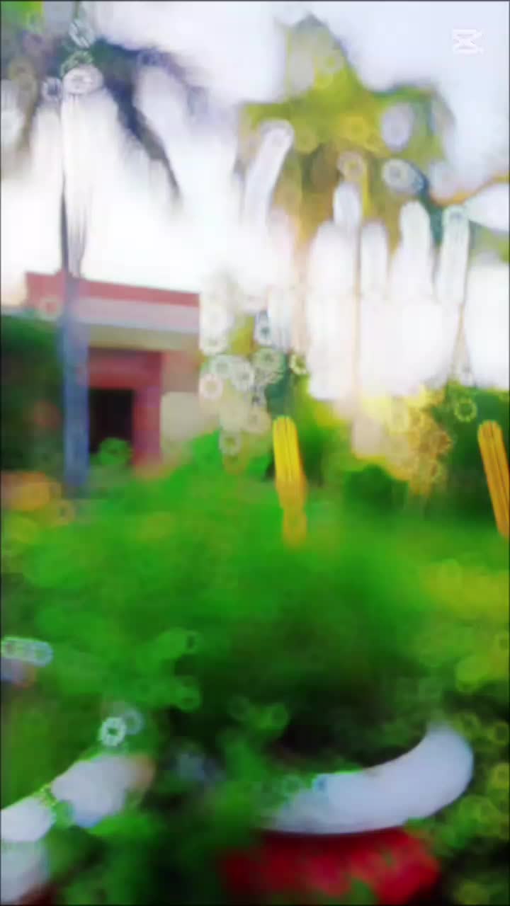 @❣️🦅 Zubair Multani 🦅❣️
