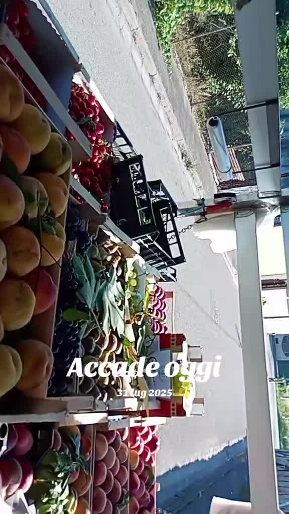 @Paolosavanelli0